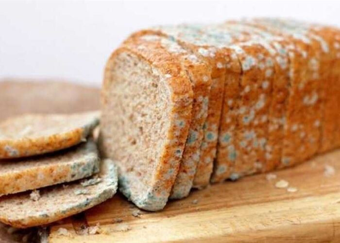 أجزاء الخبز المتعفنة تعرف على أضرارها