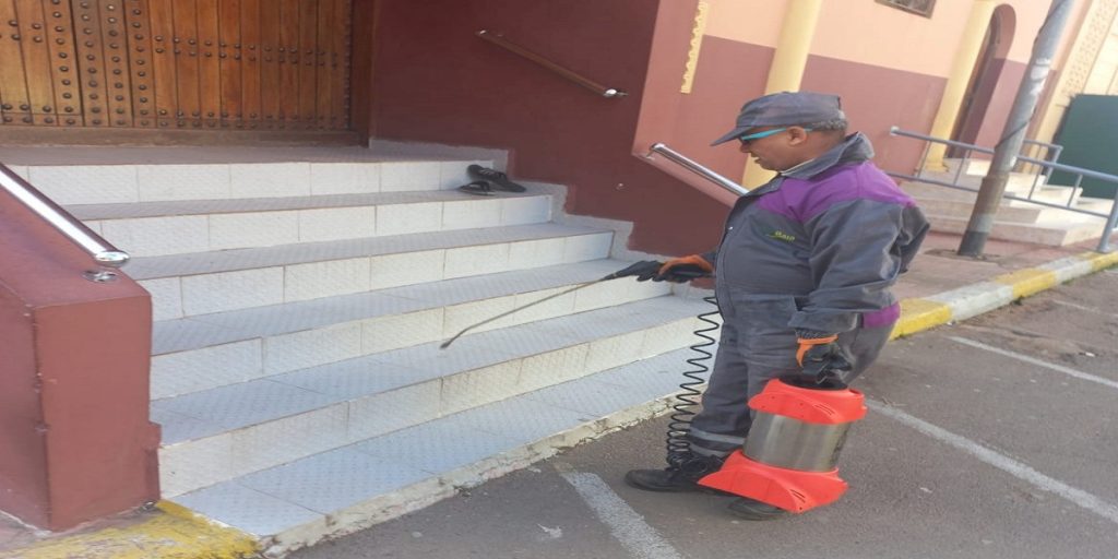 الدار البيضاء: حملات لمحاربة الجردان والحشرات