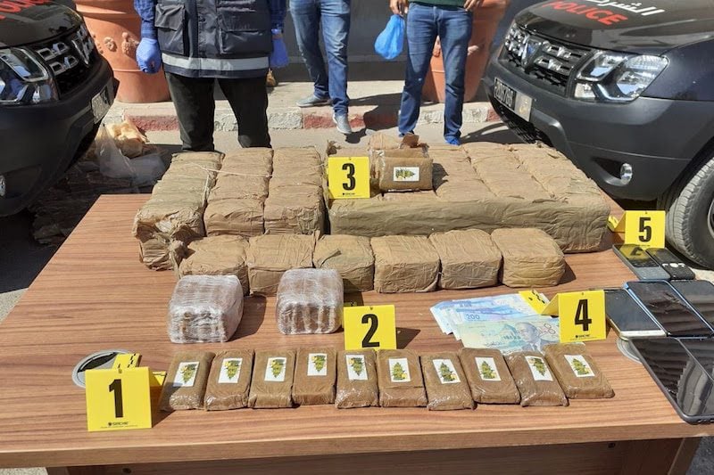 إحباط محاولة تهريب 294 كيلوغراما من مخدر “الشيرا”