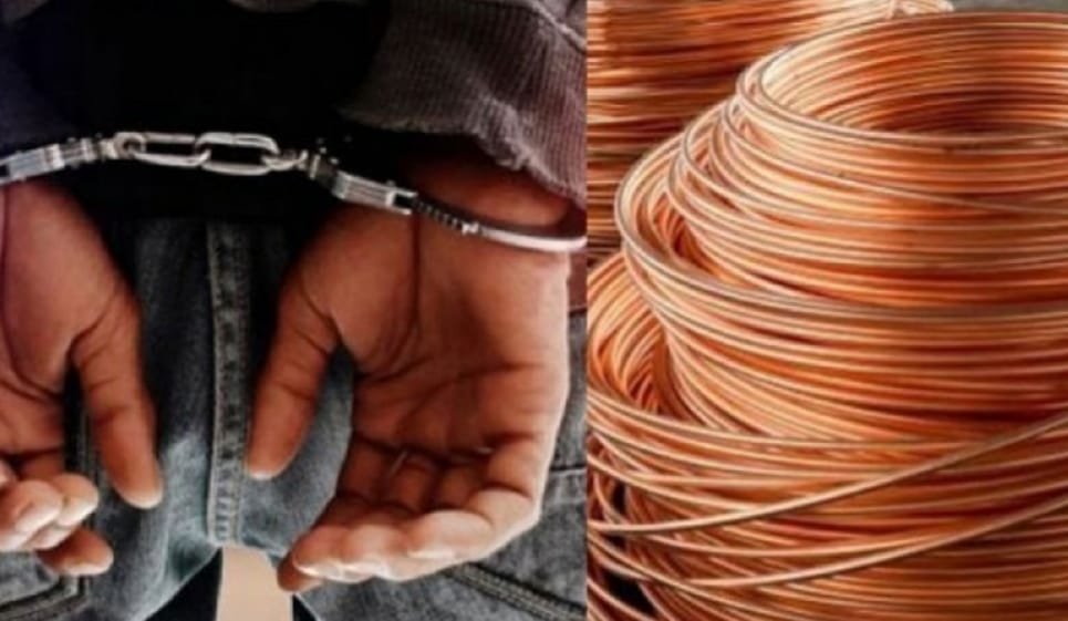 تفكيك عصابة اجرامية بتاوريرت متخصصة في السرقات