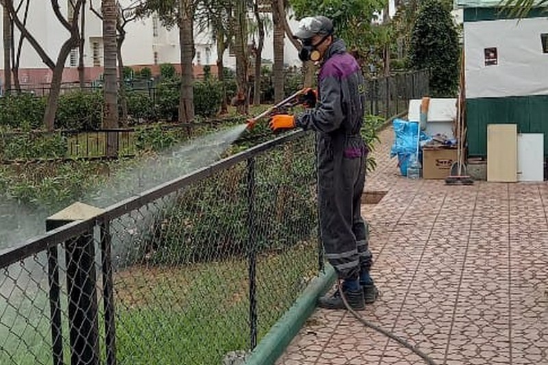 جماعة الدار البيضاء تشن حملة واسعة على الحشرات الضارة والقوارض والجردان والصراصير