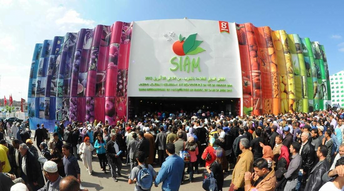 الملتقى الدولي للفلاحة بمكناس يحتفي بالمملكة المتحدة