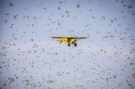 المركز الوطني لمكافحة الجراد يواصل عمليات رش الأدوية والمبيدات للقضاء على الجراد