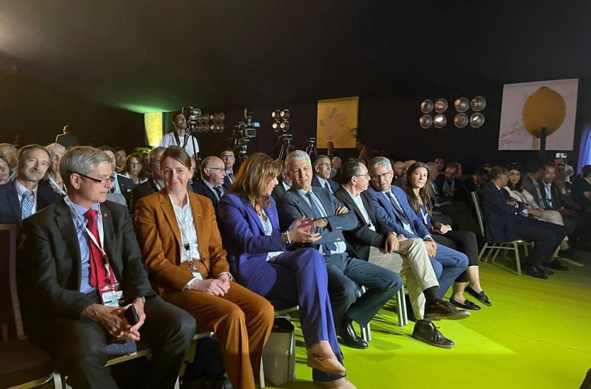 انطلاق أيام الدكتوراه 2023 تحت شعار “البحث العلمي والابتكار ونقل التكنولوجيا.. روافع لمستقبل الفلاحة المغربية”