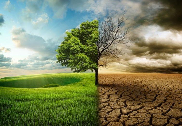 الحرارة الشديدة التي سيطرت على أجزاء من شمال إفريقيا كانت “لتكون شبه مستحيلة بدون تغير المناخ”