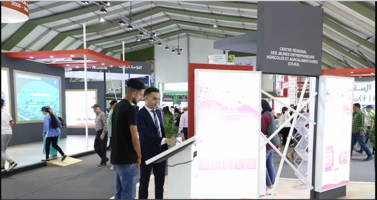 وكالة التنمية الفلاحية تشرع في العمل في المنصة التفاعلية لمواكبة المقاولين الشباب