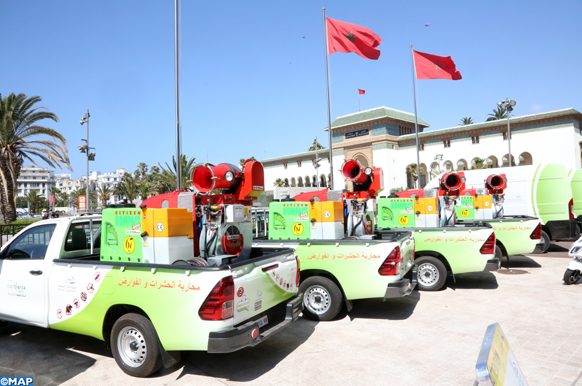 السلطات بالرباط تشن حملات لمحاربة القوارض والحشرات