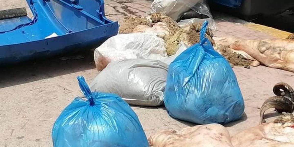 الدار البيضاء : توزيع أكياس بلاستيكية بأحياء المدينة