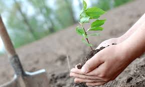 الجمعية المغربية للمنظريين تؤكد انخراطها التام في المجهودات من أجل مواجهة آثار التغيرات المناخية