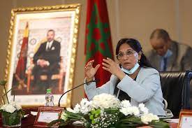 بوعياش تدعو إلى إحداث شبكة للآليات الوطنية الإفريقية للوقاية من التعذيب