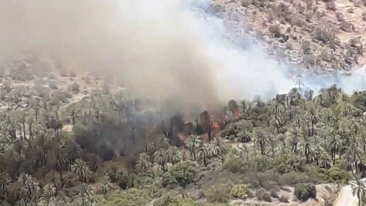 اندلاع حرائق على مستوى مزارع واحة تاركا نتوشكا اندلاع حريق مهول