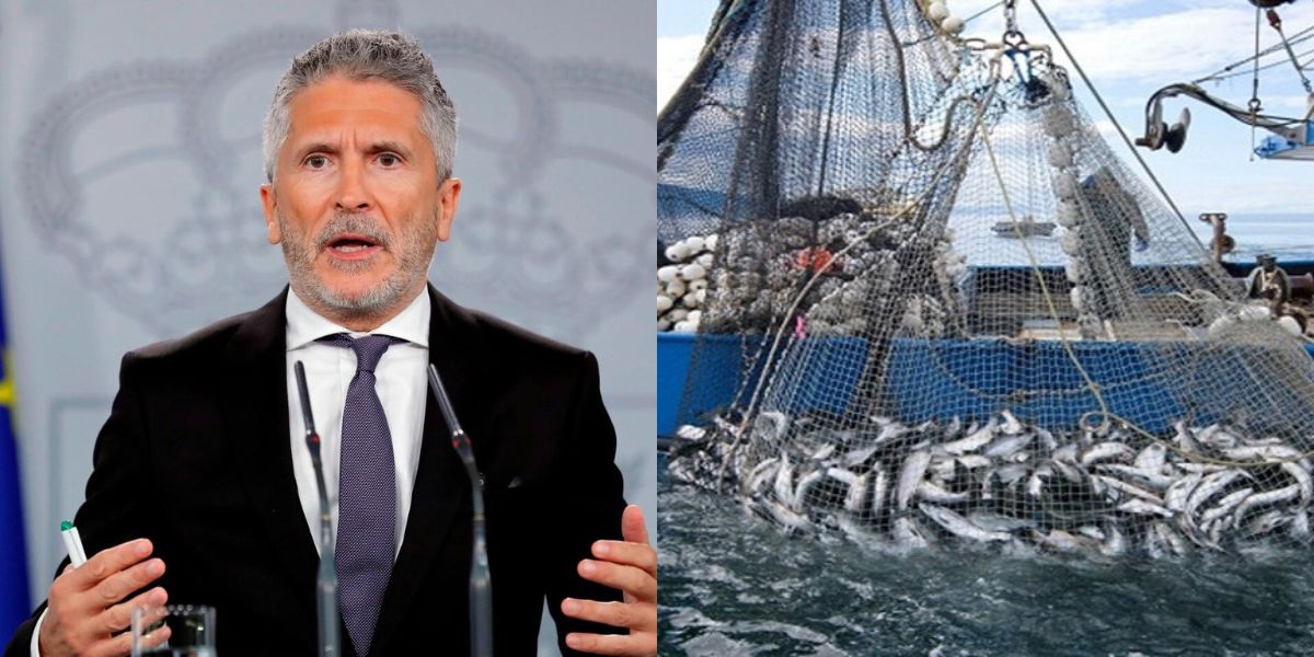 فرناندو غراندي مارلاسكا يعرب عن ثقته في تجديد بروتوكول الصيد البحري بين الاتحاد الأوروبي والمملكة المغربية