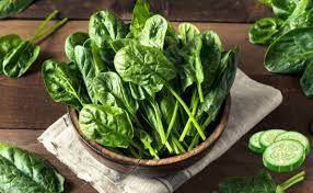 أطعمة يجب الحصول عليها خلال فصل الصيف