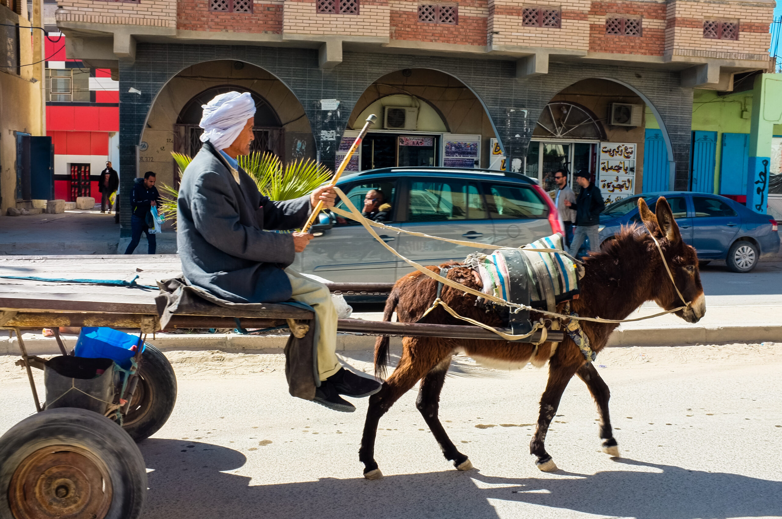 السلطات تشن حملات ضد أصحاب العربات المجرورة بالدار البيضاء