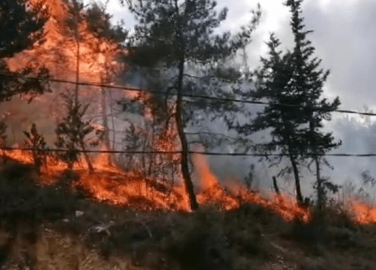 سلطات طنجة تطوان الحسيمة ترفع درجة التأهب تجنبا لمخاطر احتمالية نشوب حرائق