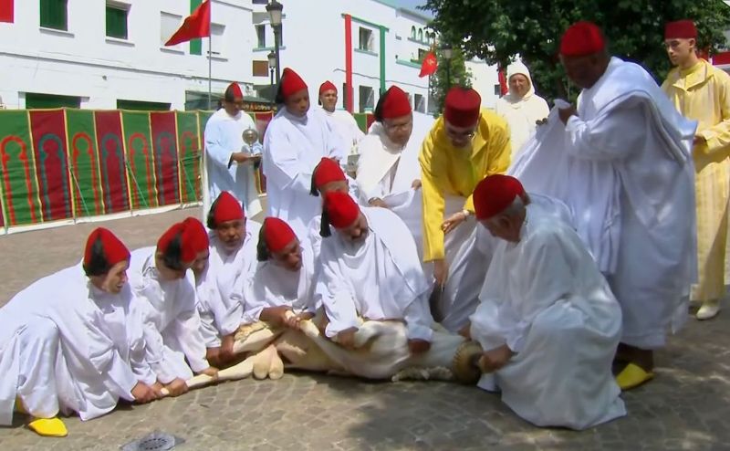 أمير المؤمنين يقوم بنحر أضحية عيد الاضحى المبارك