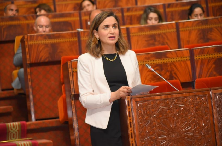 غيثة مزور: تم جرد أزيد من 600 منصة رقمية لتيسير الخدمات الإدارية