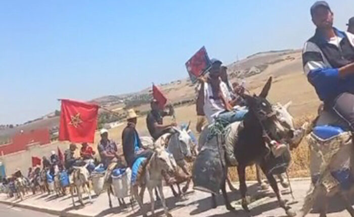 عشرات من المواطنين بإقليم تاونات يستعينون بالحمير وقنينات المياه الفارغة  للاحتجاج على “العطش”