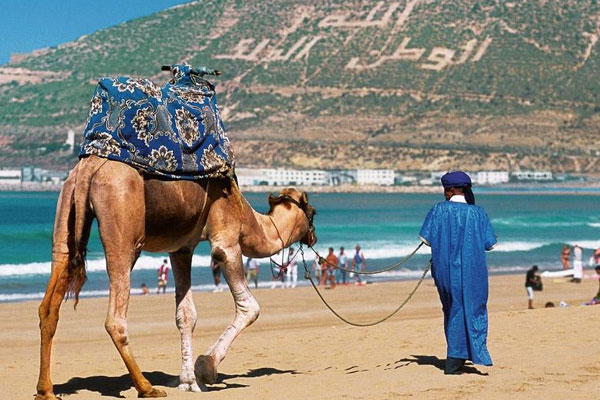 المغرب أصبح يتوفر على 1299 مرشدا سياحيا جديدا