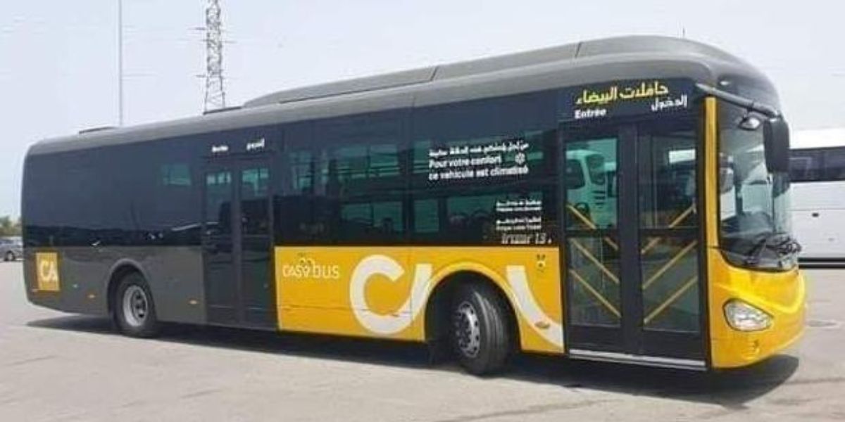 الدار البيضاء: تعزيز مجموعة من الخطوط لحافلات النقل الحضري
