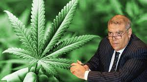 عبد الوافي لفتيت يعلن عن عدد التراخيص التي منحتها الوكالة الوطنية لتقنين القنب الهندي بإقليم تاونات