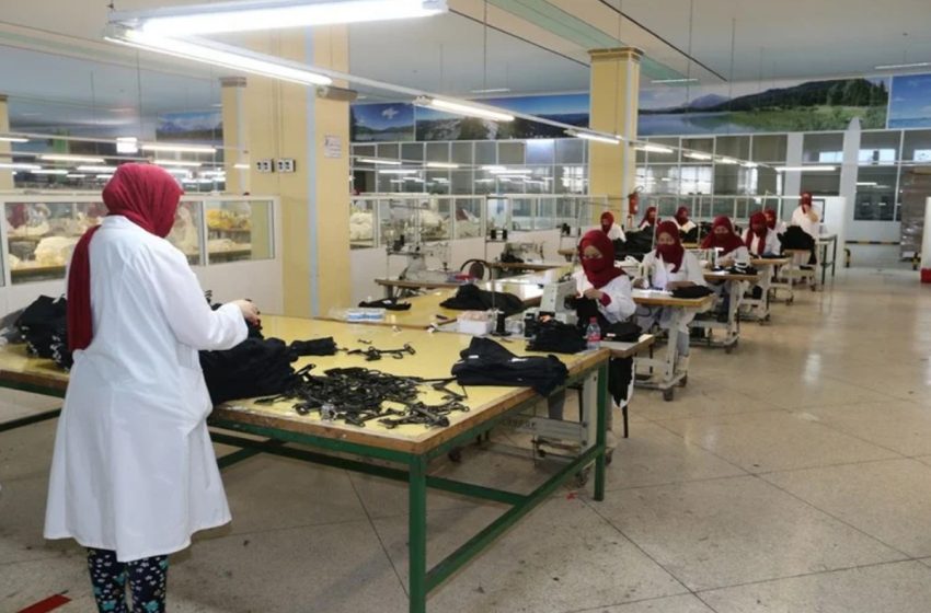 عدد المقاولات الجديدة التي تم إحداثها على مستوى جهة كلميم وادنون بلغ 423 مقاولة