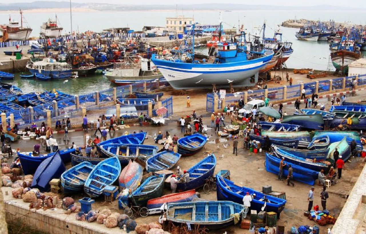 الكميات المفرغة من منتجات الصيد الساحلي والتقليدي على مستوى ميناء طانطان تسجل انخفاضا ب 36 %