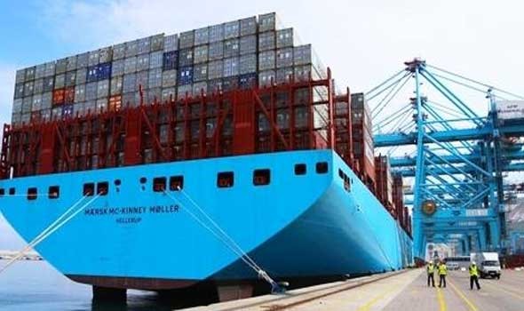 المغرب يزيح جنوب إفريقيا من قائمة أكبر مصدري التوت الأزرق