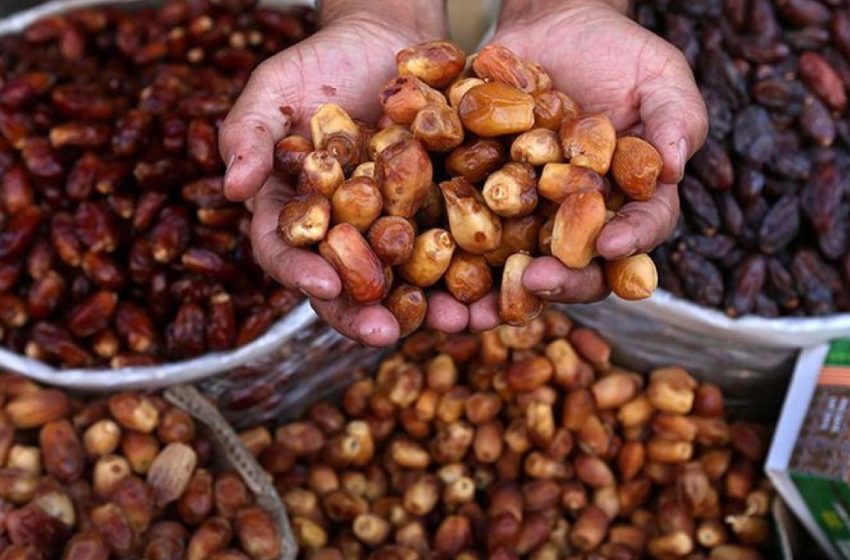 أرفود : تنظيم الدورة ال12 للملتقى الدولي للتمر بالمغرب