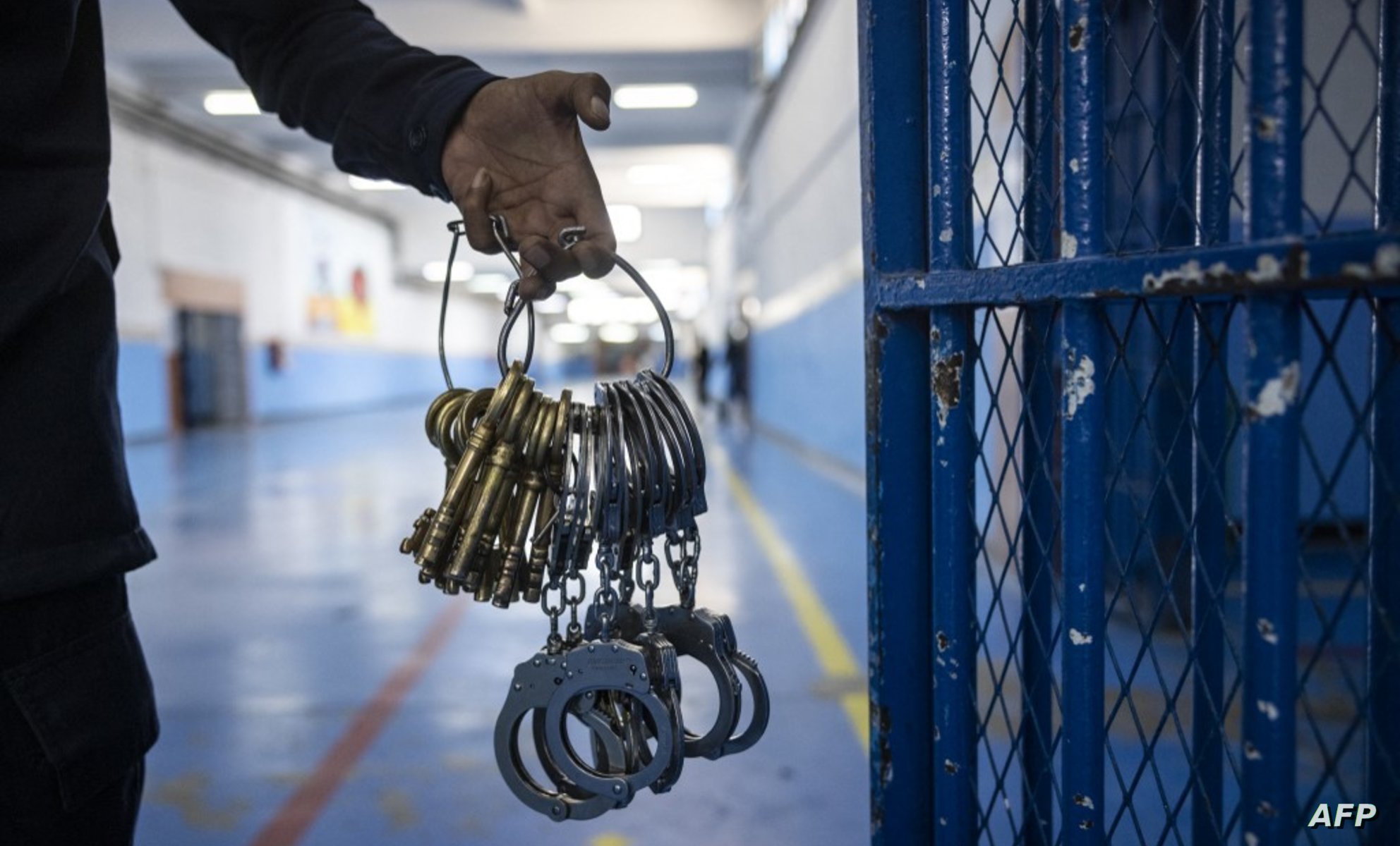 وهبي : شراء أيام السجن ..سيتم إقراره على الرغم من جدل