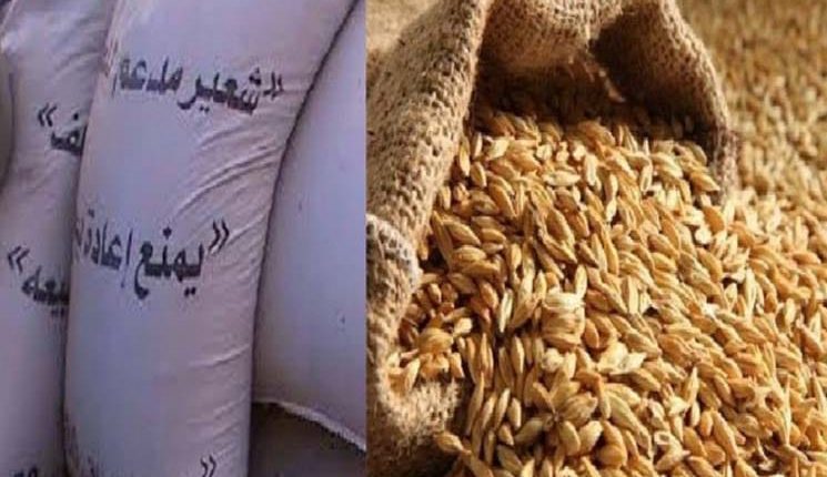 تخصيص 275 ألف قنطار من الشعير المدعم لفائدة مربي الماشية بجهة فاس