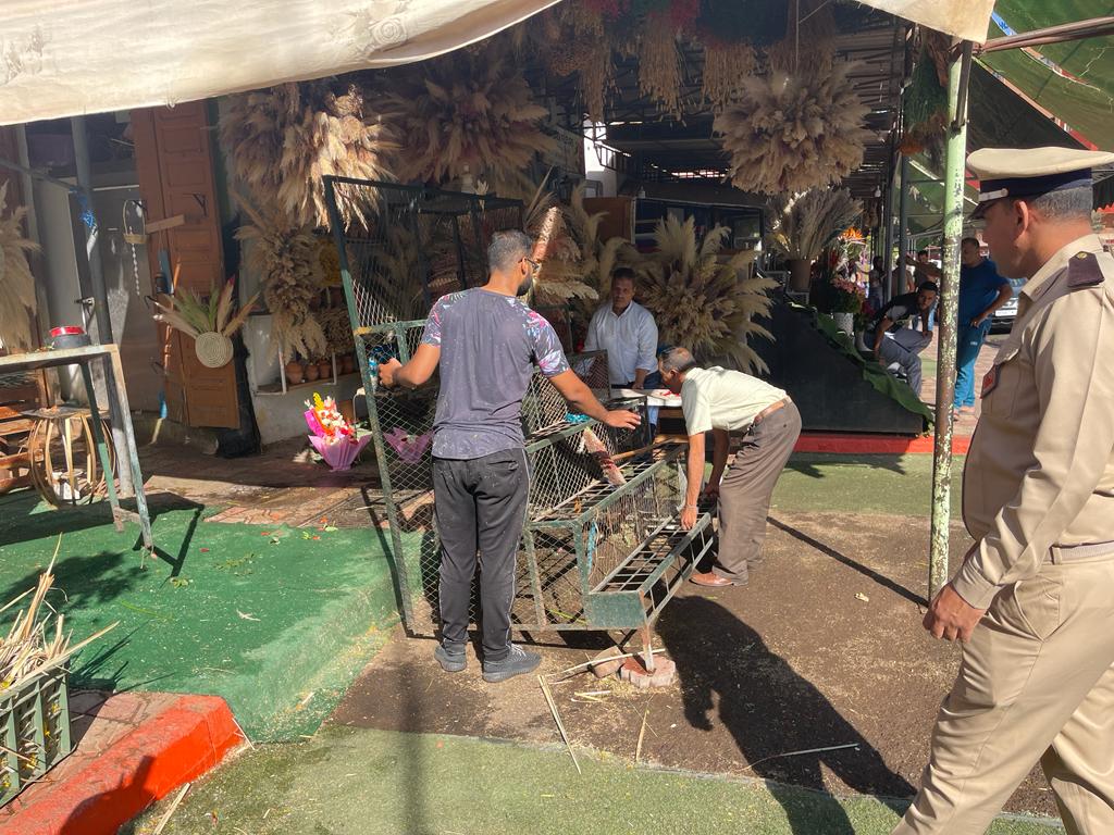 مراكش : حملة لتحرير الملك العام على مستوى “مارشي الورد”،