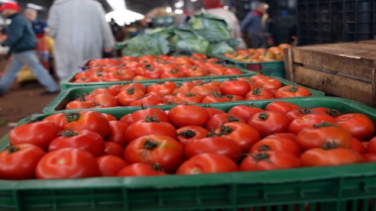 أسعار الطماطم تسجل ارتفاعا