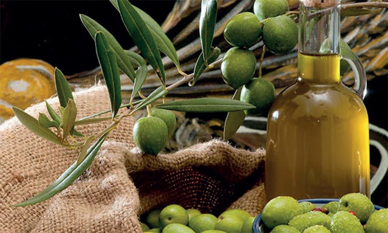 أسعار الزيتون تشهد ارتفاعا ملحوظا يقيمة 15 درهما للكيلوغرام الواحد