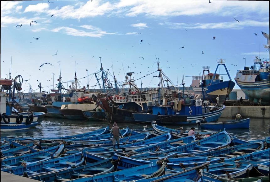 وفد في زيارة لميناء طنجة للصيد البحري لاستكشاف تجربته في مجال الاقتصاد الأزرق
