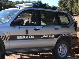 ضبط حوالي 800 كيلوغرام من الحليب المجفف المهرب من الأقاليم الجنوبية للمملكة