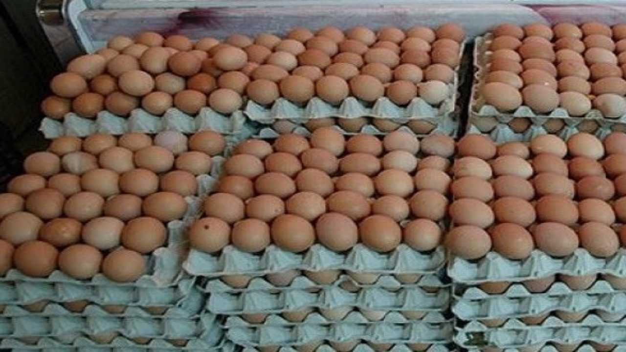 أسعار البيض تعرف ارتفاعا ملحوظا