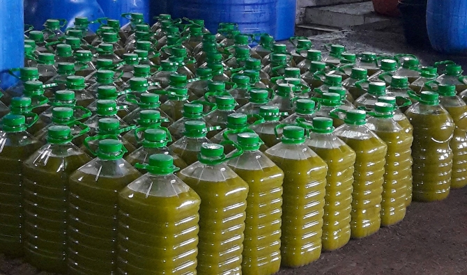 حجز كميات من الزيوت يشتبه في أنها مغشوشة داخل محل لبيع زيت الزيتون بالجملة والحوامض ومخلل الخضروات