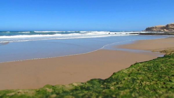 عمليات واسعة لتحرير الملك العام البحري باشتوكة آيت باها