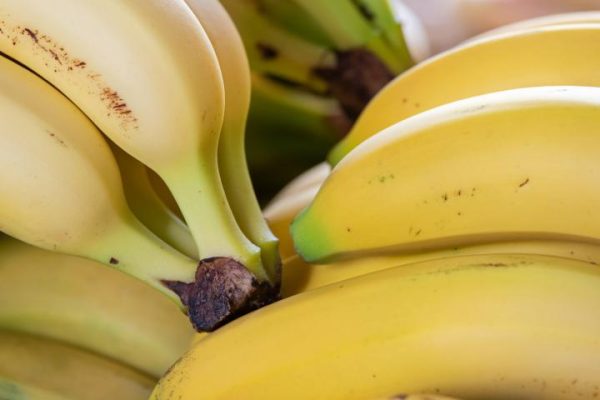 المغاربة يستهلكون موز الكناري أكثر من الإسبان