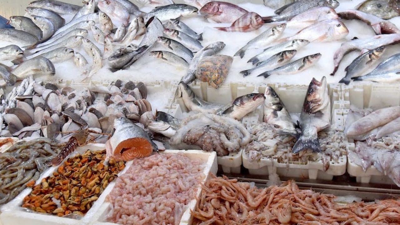 روسيا تعلق استيراد 75 طنًا من الأسماك المجمدة من المغرب