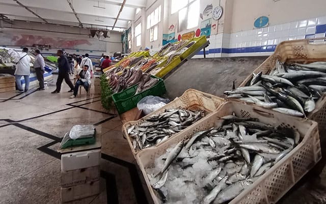 إحداث لجنة مركزية لتتبع التموين المنتظم للسوق الوطنية بالأسماك بكميات كافية في شهر رمضان