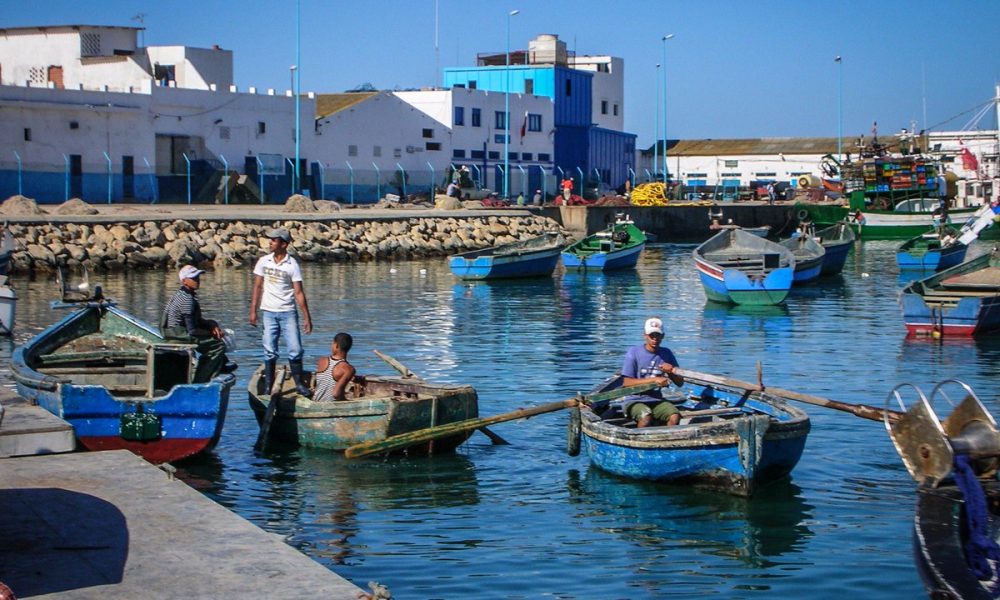 كميات مفرغات الصيد الساحلي والتقليدي بميناء المضيق بلغت 2408 أطنان سنة 2023