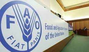 أسعار المواد الغذائية العالمية انخفضت بنسبة 13,7 %