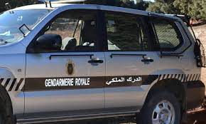 توقيف من دول إفريقيا جنوب الصحراء يشكل موضوع مذكرة بحث دولية من طرف “إنتربول”.