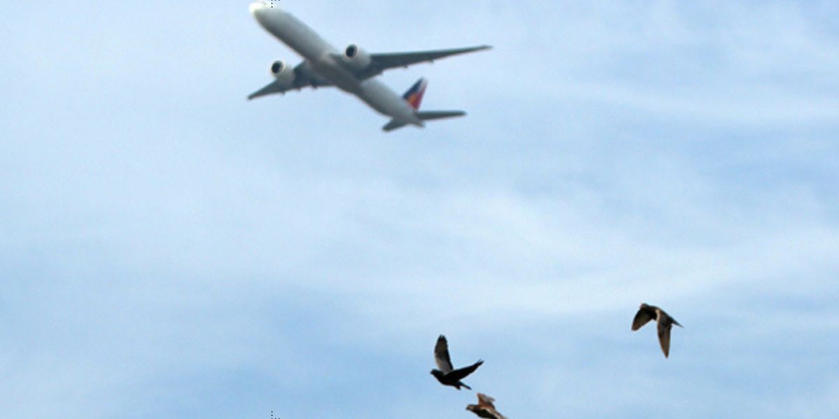 مراكش: افتتاح أشغال المنتدى العربي الثاني لحماية البيئة في مجال صناعة الطيران المدني