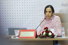 نادية بوعيدة تجري مباحثات مع النائب الأوروبي غالر مايكل حول سبل تعزيز العلاقات بين المغرب والاتحاد الأوروبي