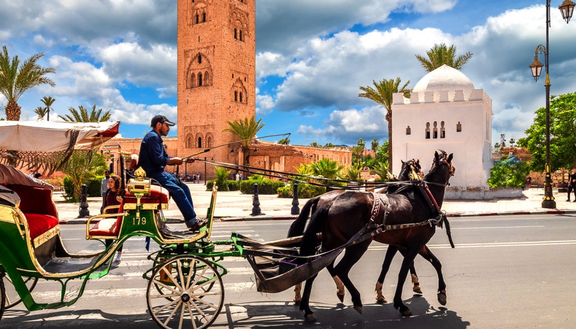 مراكش تحتضن الدورة الثالثة للمنتدى الدولي للأشجار