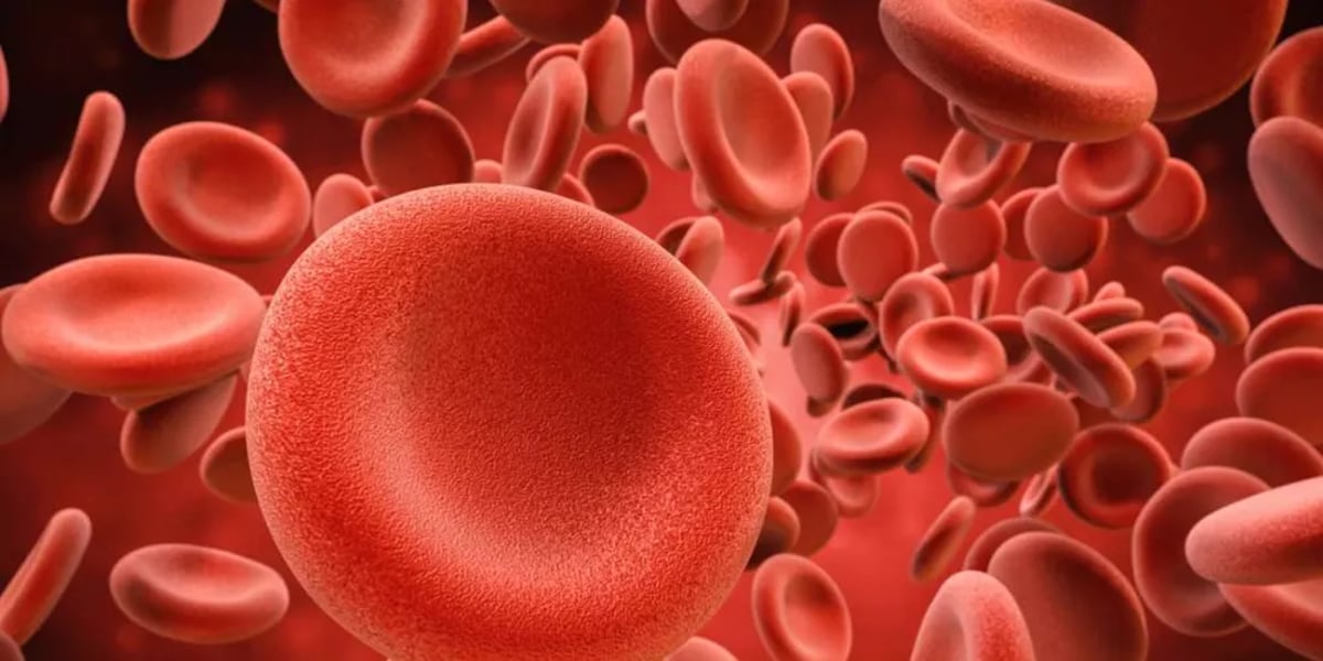 دراسة .. ربع سكان العالم يعانون من فقر الدم مع زيادة حادة للإصابات بين النساء والأمهات والفتيات