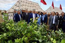 إطلاق مشاريع للفلاحة التضامنية لغرس زراعات مقاومة للتغيرات المناخية في إطار استراتيجية الجيل الأخضر